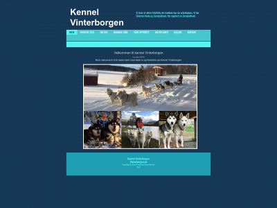 vinterborgen.no snapshot