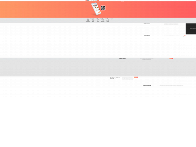 solventty.com snapshot