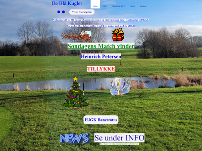 deblaakugler.com snapshot
