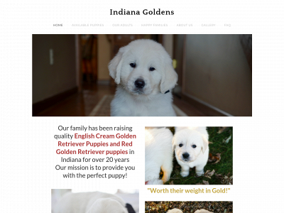 indianagoldens.com snapshot