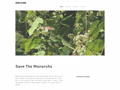 savedtosoar.weebly.com snapshot