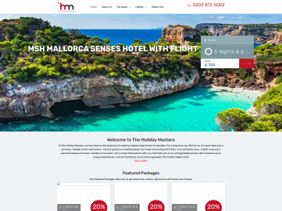 theholidaymasters.com snapshot