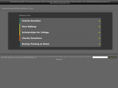 theknockoutfoundation.com snapshot