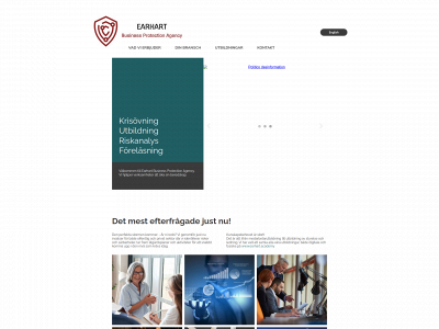 bizprotectionagency.com snapshot