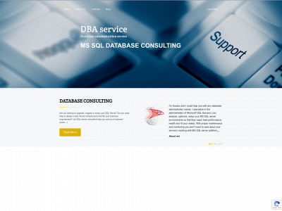dbaservice.lt snapshot