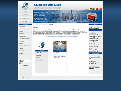 msmsm.com snapshot