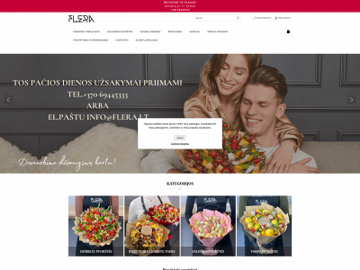 flera.lt snapshot