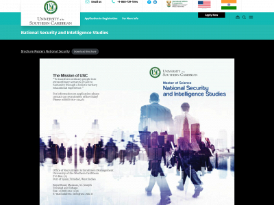 icvett.com snapshot