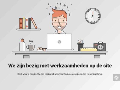 reikiaanboord.amsterdam snapshot
