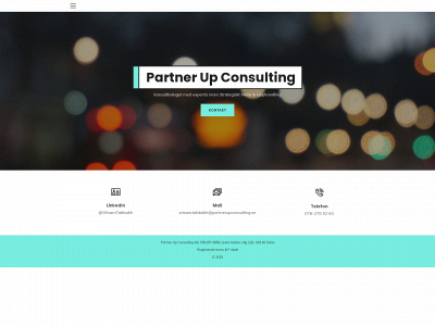 partnerupconsulting.se snapshot