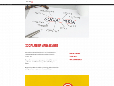 mediatribesocial.com.au snapshot