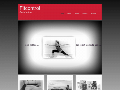 fitcontrol.co.uk snapshot