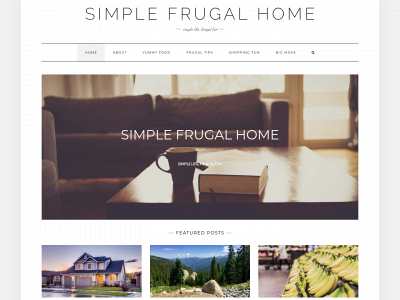 simplefrugalhome.com snapshot