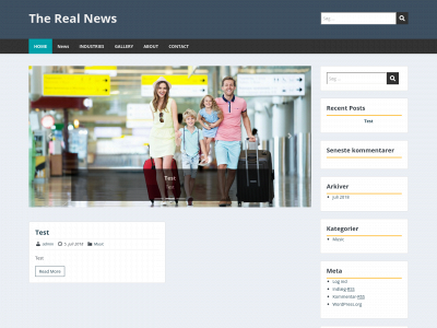 the-real-news.com snapshot