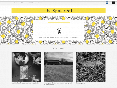 thespiderandi.com snapshot