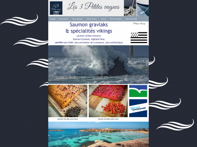les3petitesvagues.fr snapshot