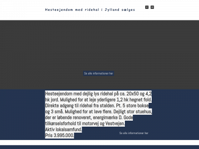 rideundervisning.com snapshot