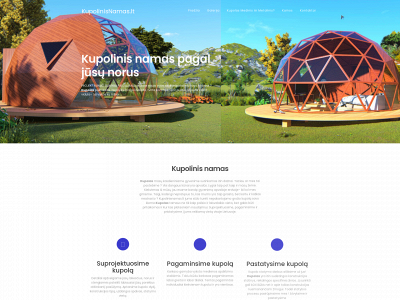 kupolinisnamas.lt snapshot