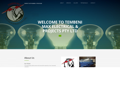 www.tembenielect.co.za snapshot