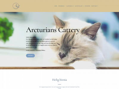 arcturianscattery.com snapshot