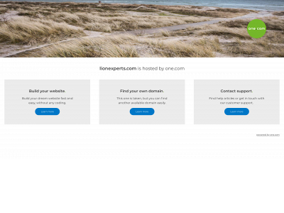 lionexperts.com snapshot