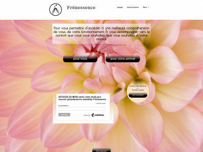 frenessence.com snapshot