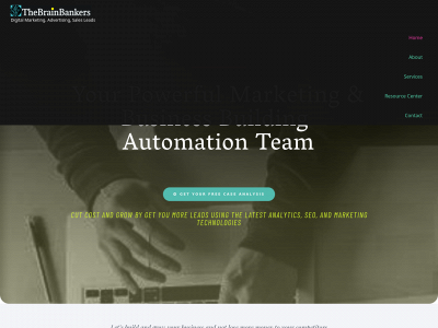 thebrainbankers.com snapshot