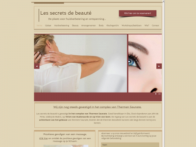 professionelehuidverbetering.be snapshot