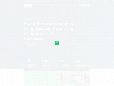 pacificsgroups.com snapshot