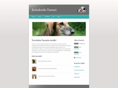 tassuri.fi snapshot