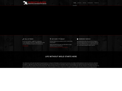 nighthawkmold.com snapshot