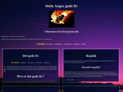steinugg.no snapshot