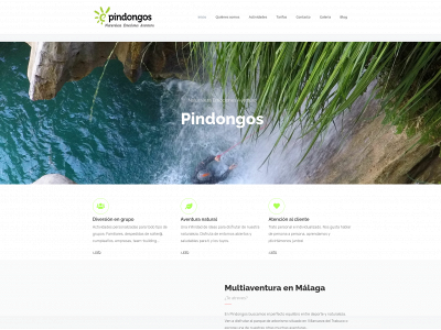pindongos.com snapshot