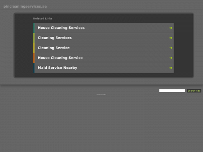 pincleaningservices.ae snapshot
