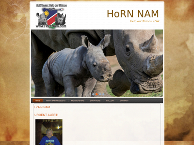 hornnam.com snapshot