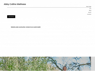 www.abbycollinswellness.com snapshot