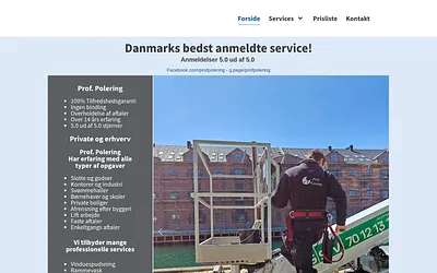 profpolering.dk snapshot
