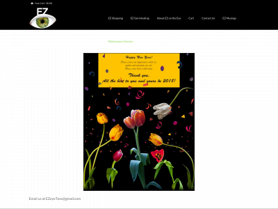ezontheeye.com snapshot