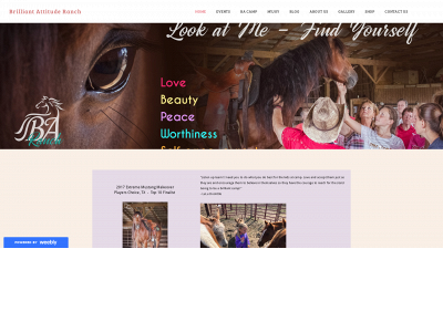www.brilliantattituderanch.org snapshot