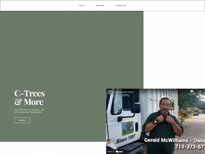 ctreesremoval.com snapshot