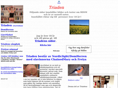 triaden.biz snapshot