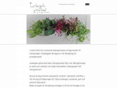 lerbergetsgronablad.se snapshot