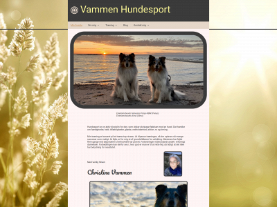 christinevammen-blog.dk snapshot