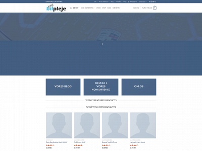 codepro.dk snapshot