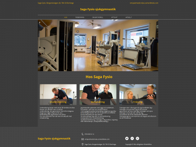 sagafysio.se snapshot