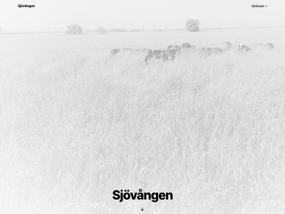 sjovangen.com snapshot