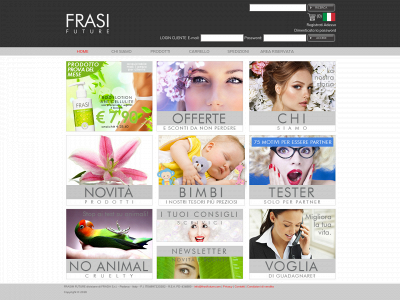 frasifuture.com snapshot