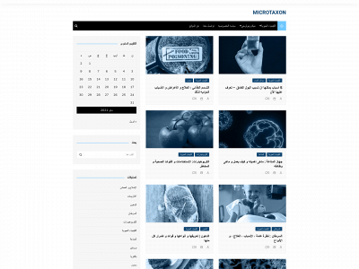 microtaxon.com snapshot