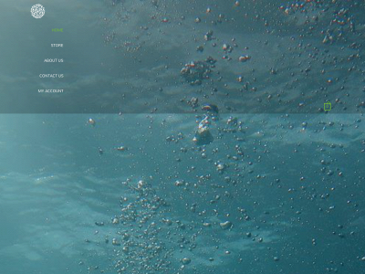floodskirt.co.uk snapshot