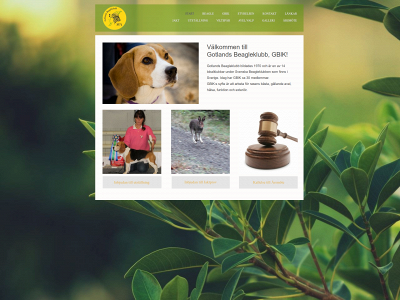 gotlandsbeagleklubb.se snapshot